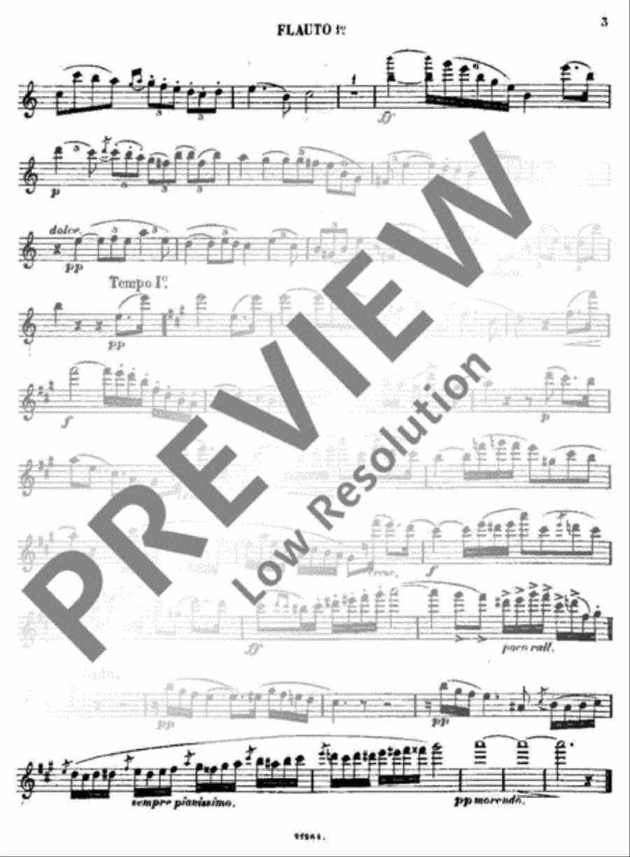 Andante et Rondo Flute Duet scores gallery preview page 19