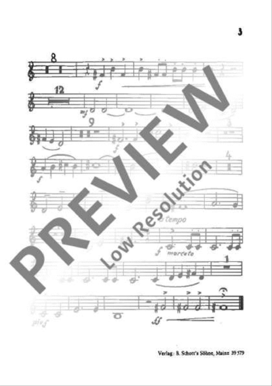 Wandspruch-Kantate TTBB scores gallery preview page 13