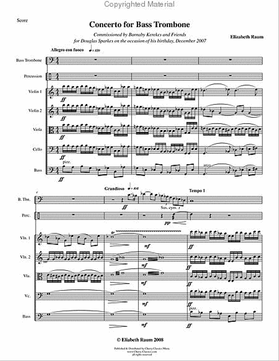 Concerto for Bass Trombone with String Orchestra & Percussion String Orchestra scores gallery preview page 4