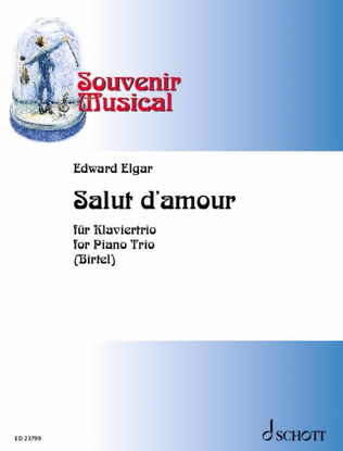 Book cover for Salut d'amour