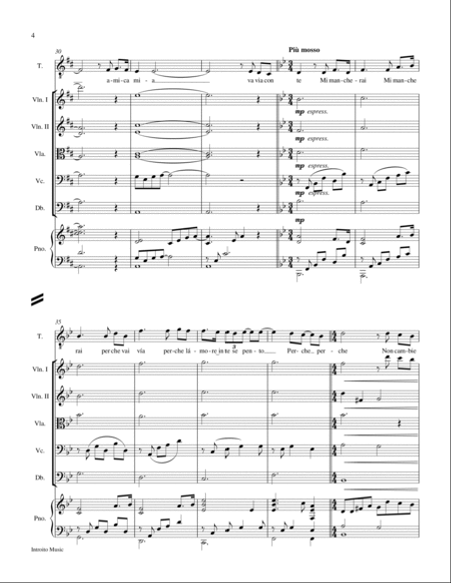 Mi Mancherai Chamber Orchestra scores gallery preview page 4