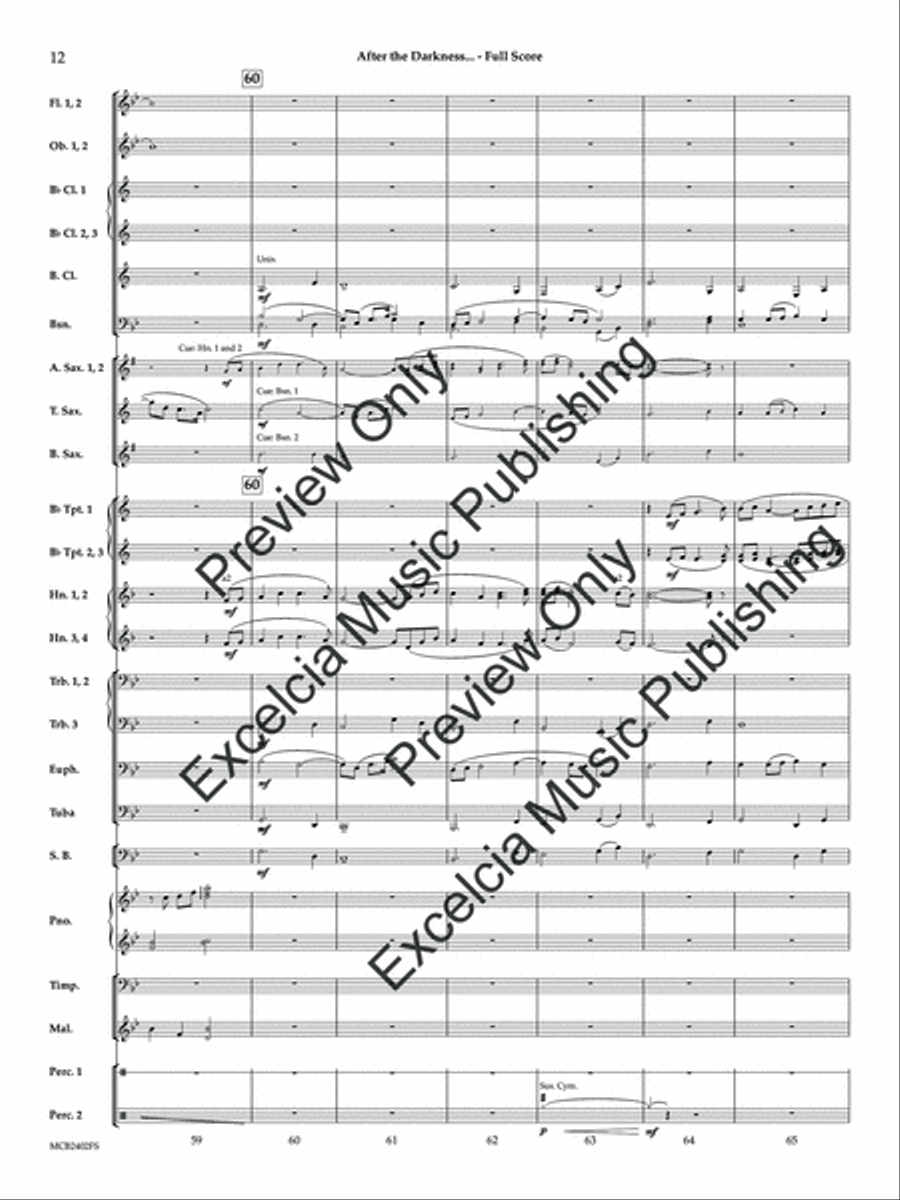 After the Darkness... Concert Band scores gallery preview page 13