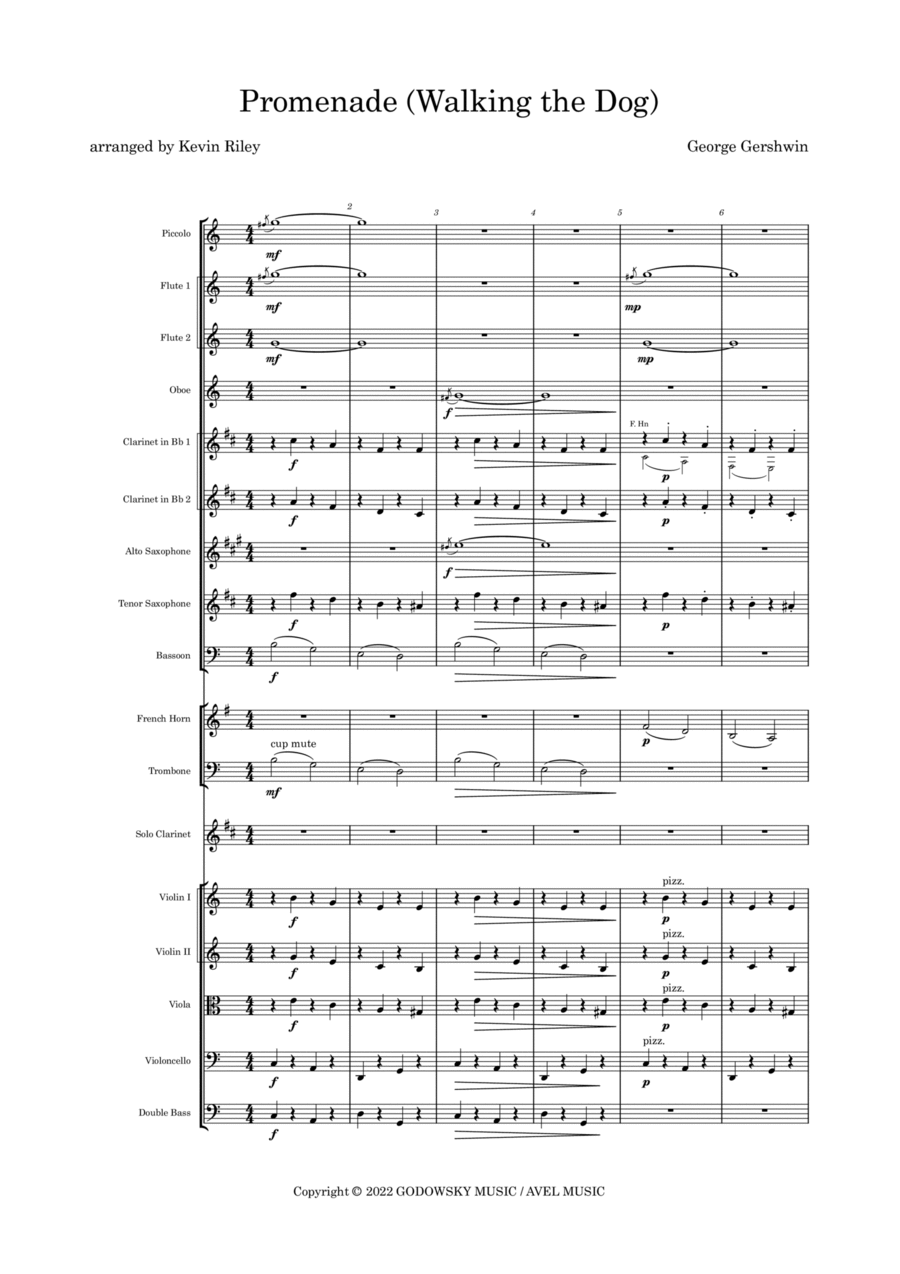 Promenade (Walking The Dog) Chamber Orchestra scores gallery preview page 1