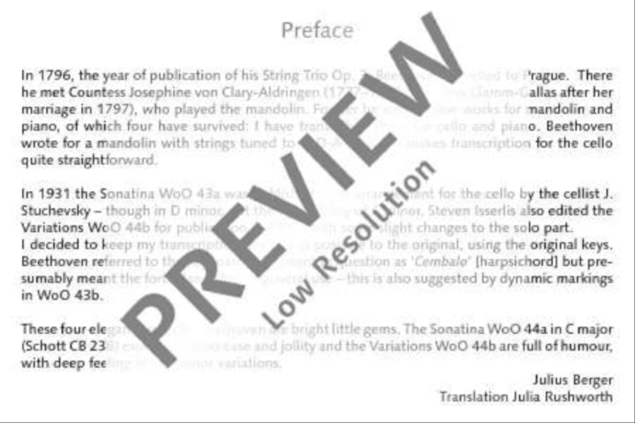 Andante con variazioni Piano Accompaniment scores gallery preview page 4