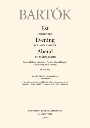 Book cover for Evening