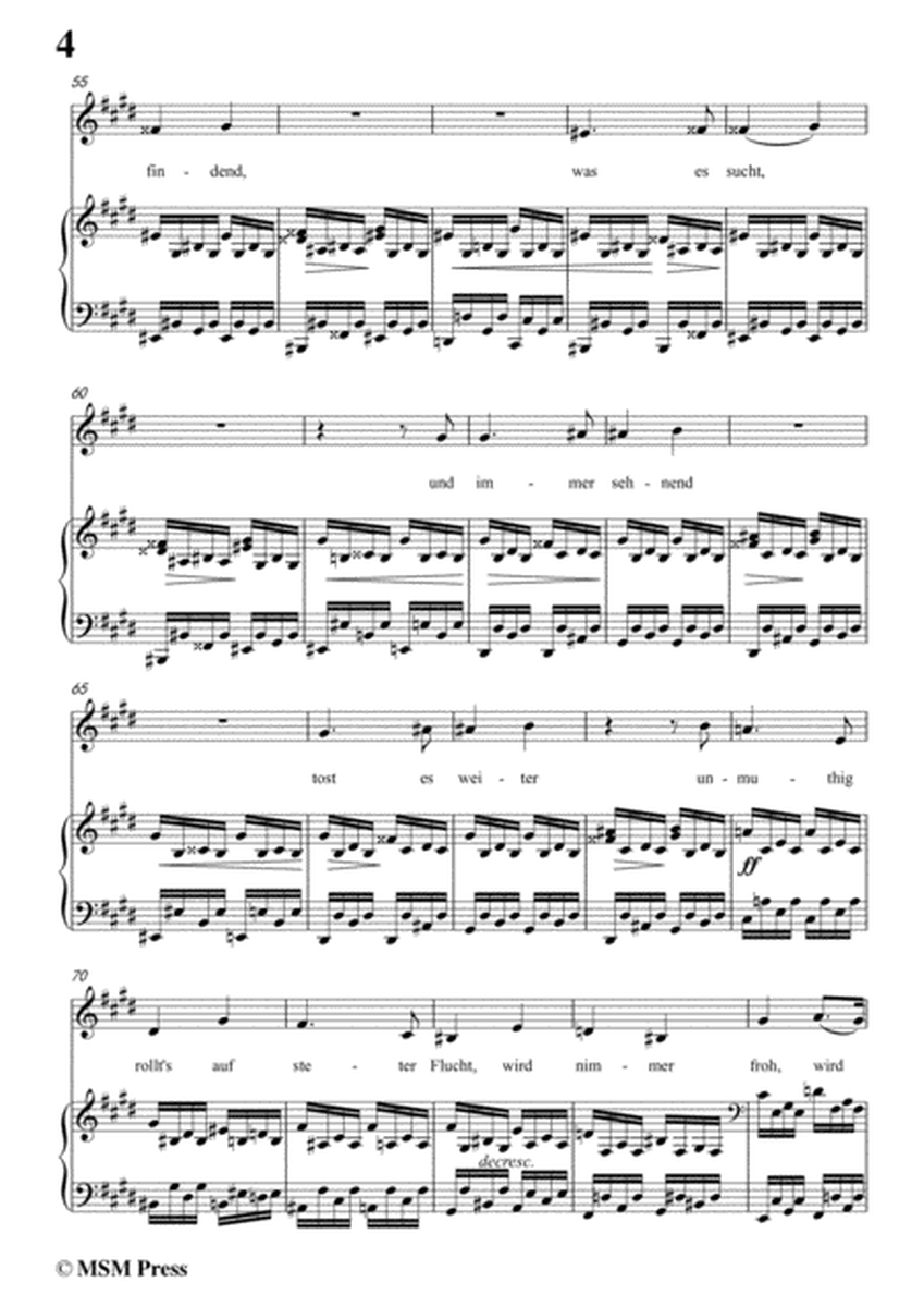 Schubert-Der Strom,in c sharp minor,for Voice&Piano image number null