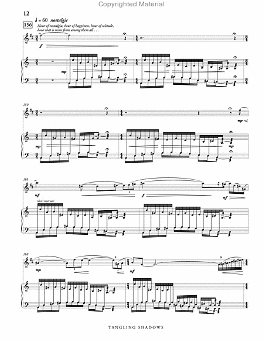 Tangling Shadows, Version 2 (score & parts) B-Flat Clarinet scores gallery preview page 13