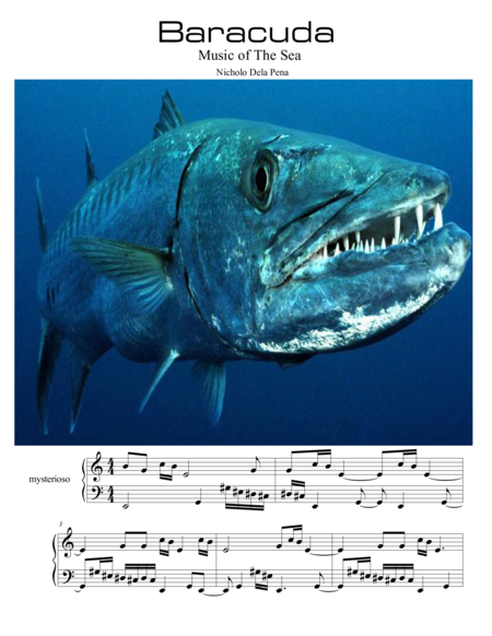 "Baracuda "The Music of The Sea" image number null