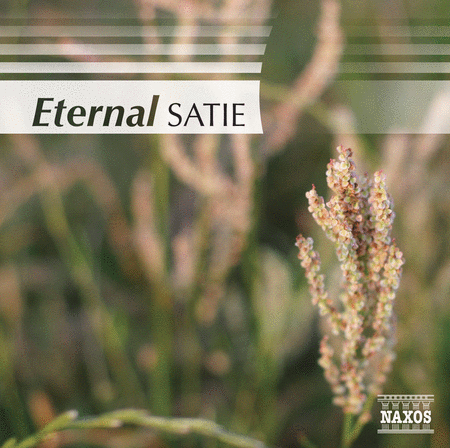 Eternal Satie image number null