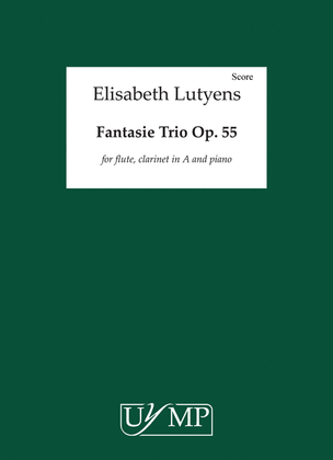 Fantasie-Trio Op.55