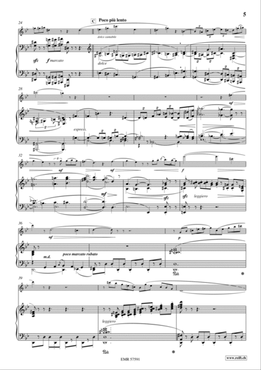 1. Solo de Concours 1. Solo de Concours Piccolo scores gallery preview page 6
