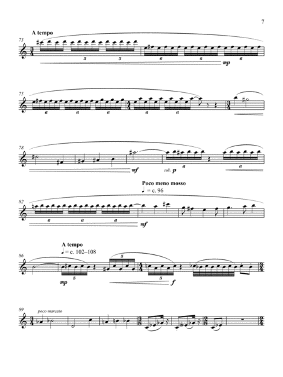 Sojourn 3 B-Flat Clarinet scores gallery preview page 5