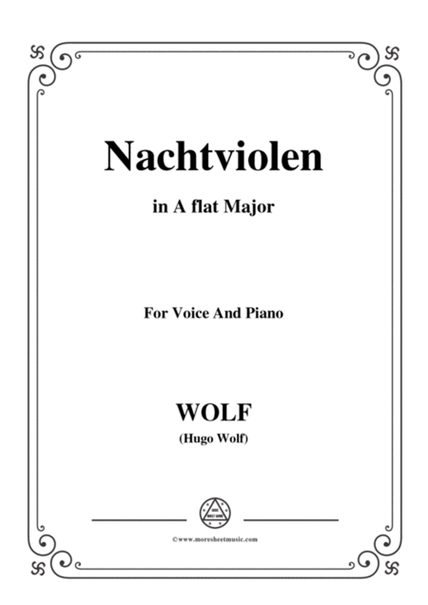Wolf-Nachtviolen in A flat Major,for voice and piano image number null