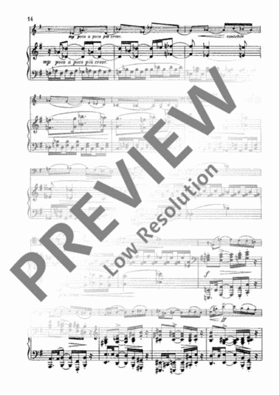 Sonata G Minor Piano Accompaniment scores gallery preview page 13