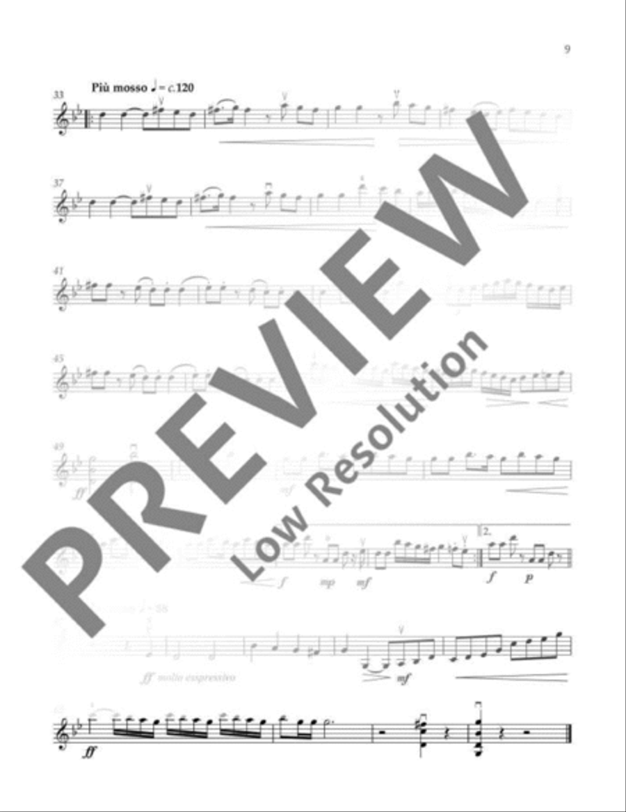 Klezmer Fiddle Tunes Violin Solo scores gallery preview page 10
