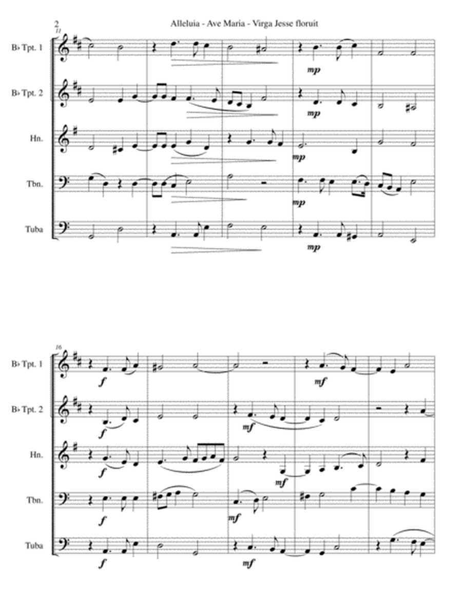 Alleluia - Ave Maria - Virga Jesse floruit arranged for brass quintet image number null