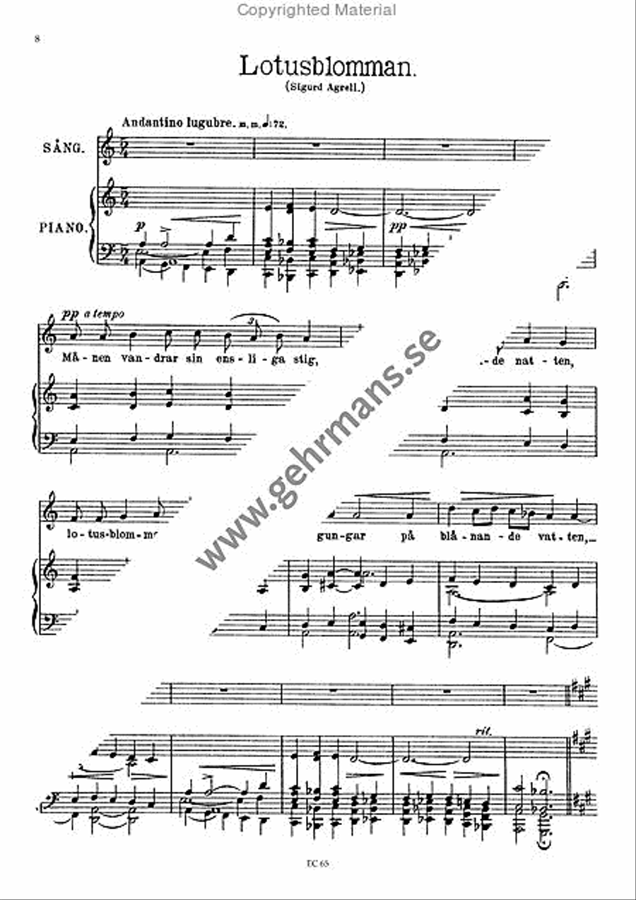 Exotiska Sanger Voice Solo scores gallery preview page 4