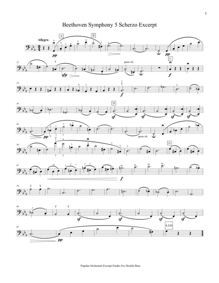 Popular Orchestral Excerpt Etudes For Double Bass: Standard Packet