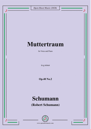 Book cover for Schumann-Muttertraum Op.40 No.2,in g minor