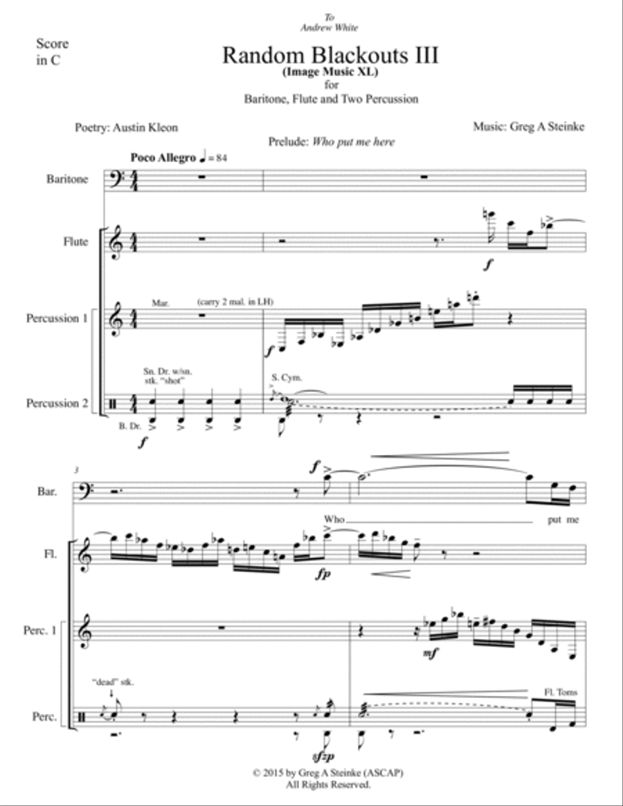 Random Blackouts III (Image Music XL) for Baritone, Flute and Two Percussion Small Ensemble scores gallery preview page 5