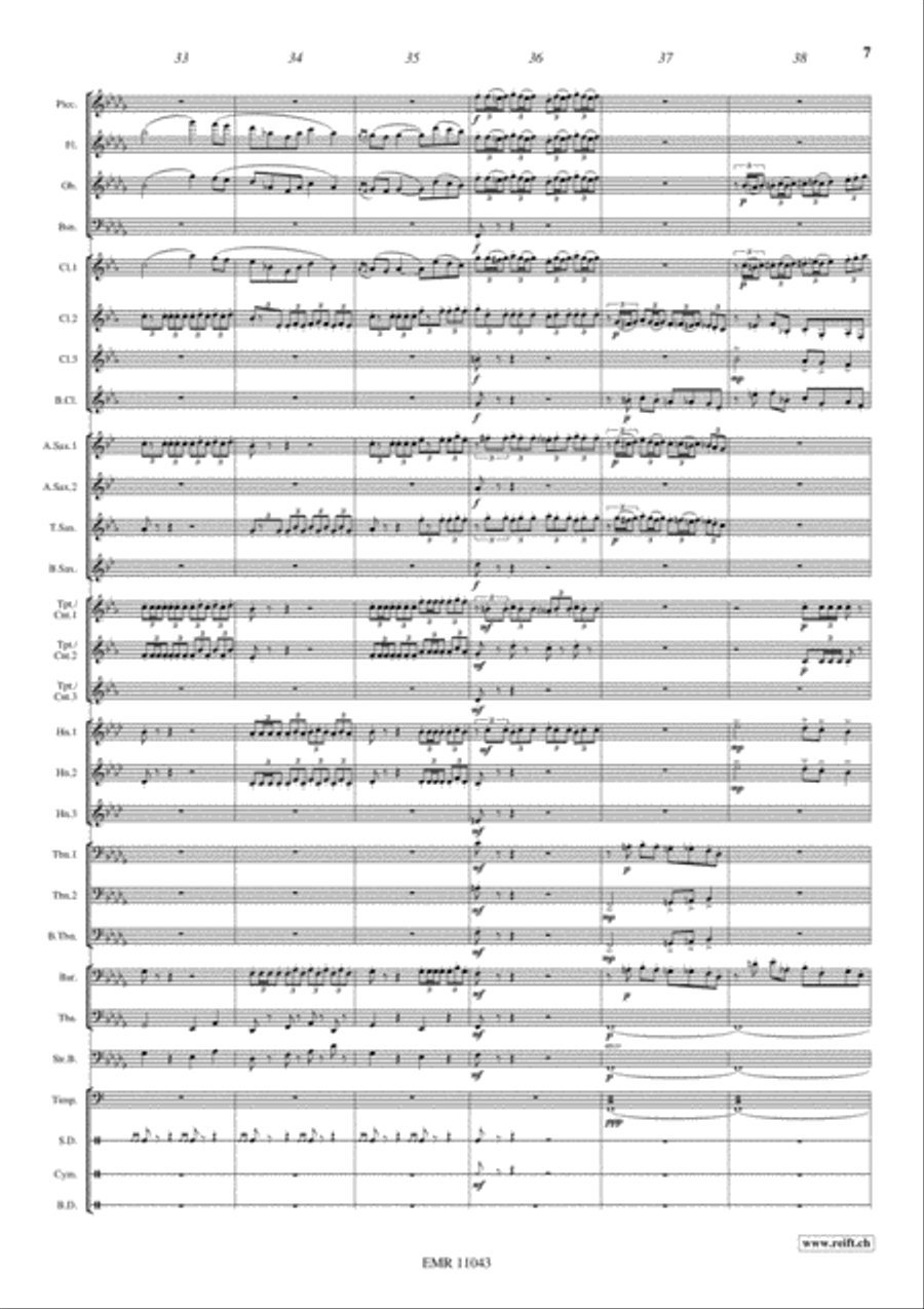Marche Slave Concert Band scores gallery preview page 8