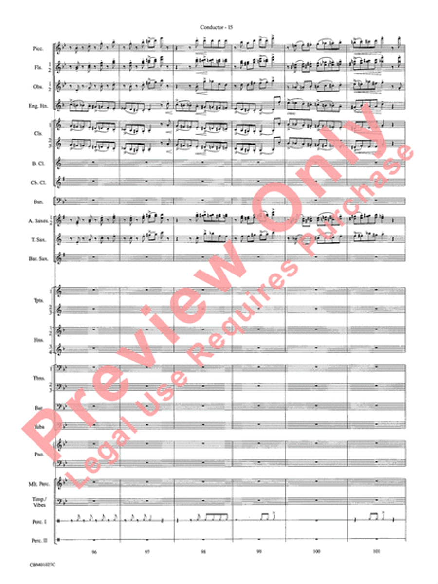 Harry Potter Symphonic Suite Concert Band scores gallery preview page 18