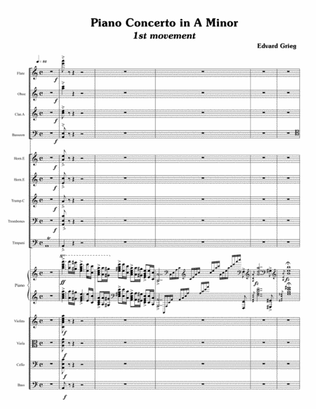 Piano Concerto In A Minor Op.16 (Orchestral score)