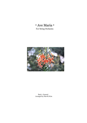 Ave Maria (For String Orchestra)