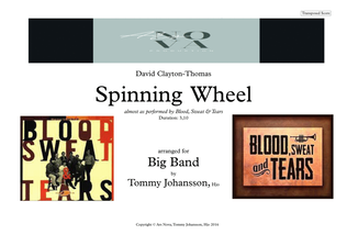 Book cover for Spinning Wheel