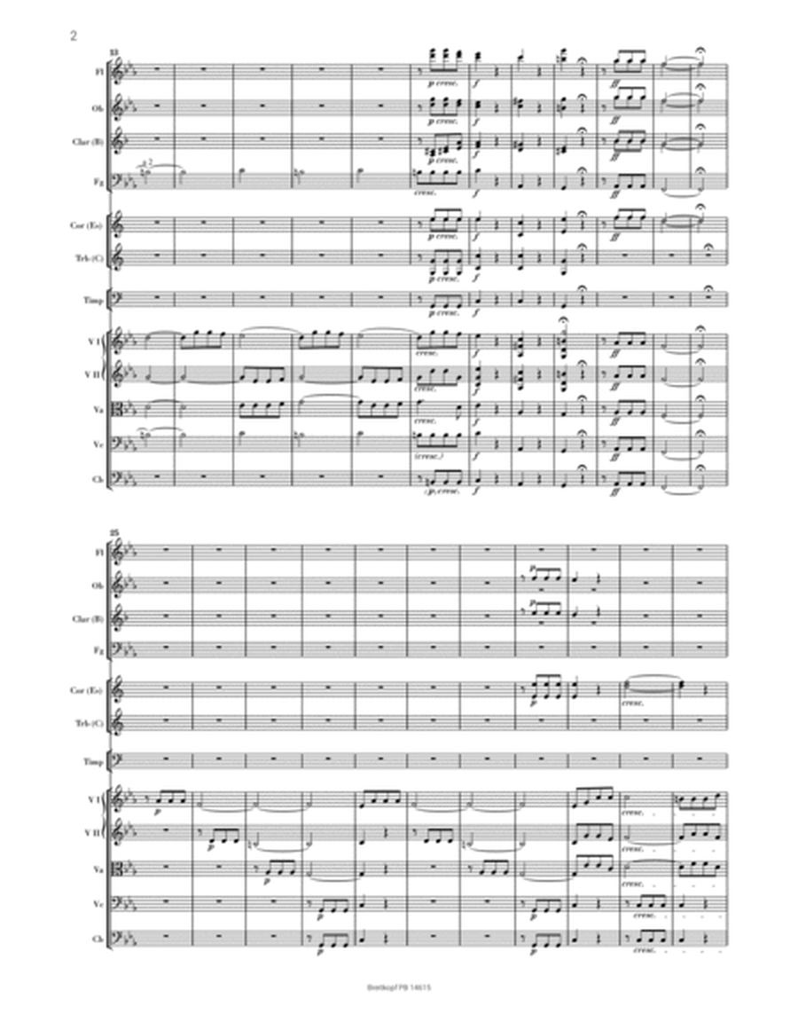 Symphony No. 5 in C minor Op. 67