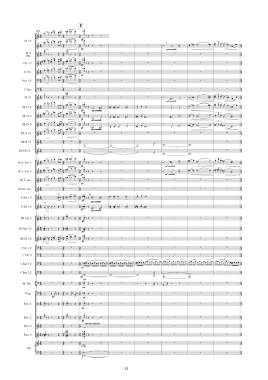 Symphonic Variations Concert Band scores gallery preview page 14