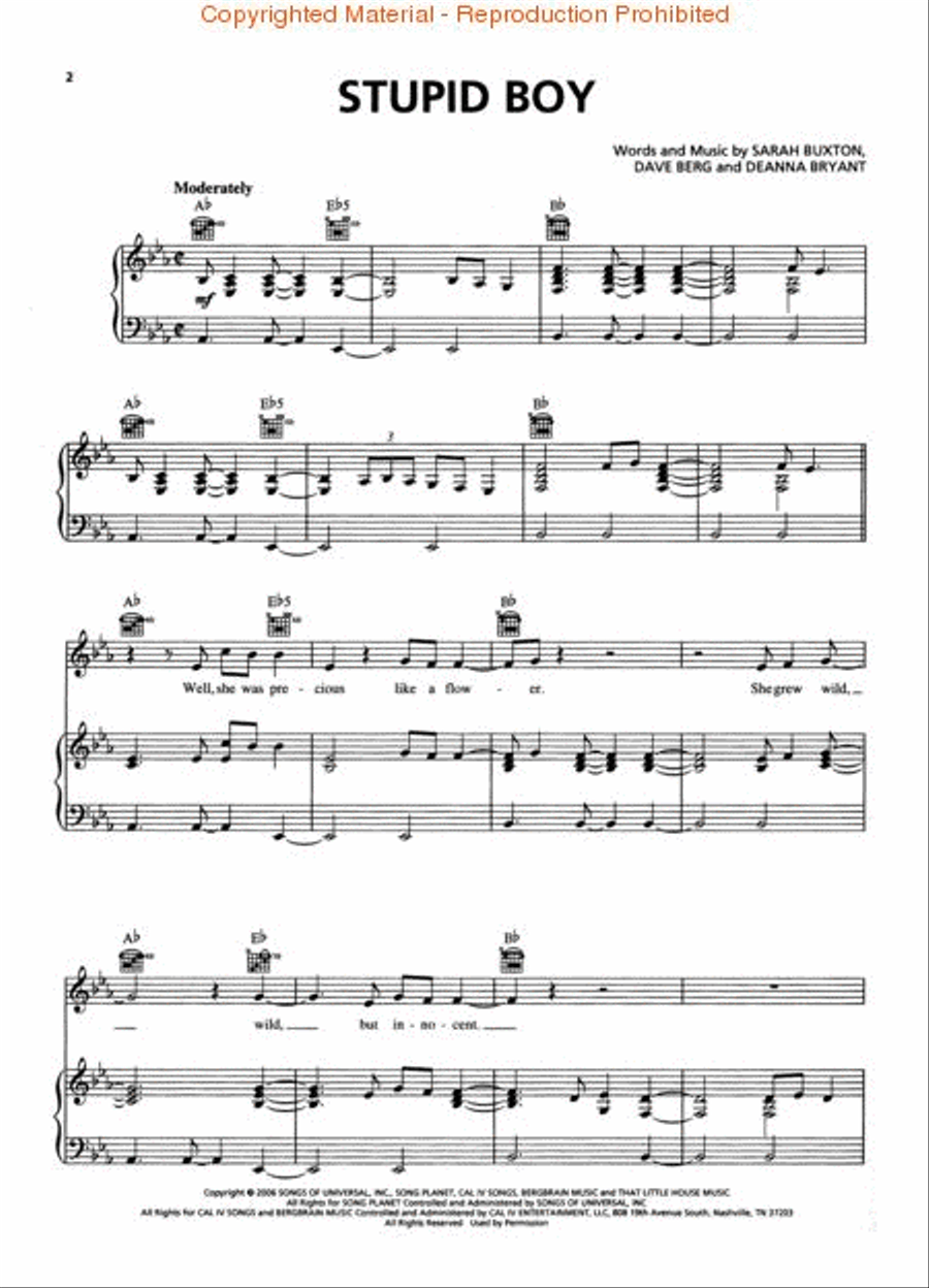 Stupid Boy Stupid Boy Piano, Vocal, Guitar scores gallery preview page 2