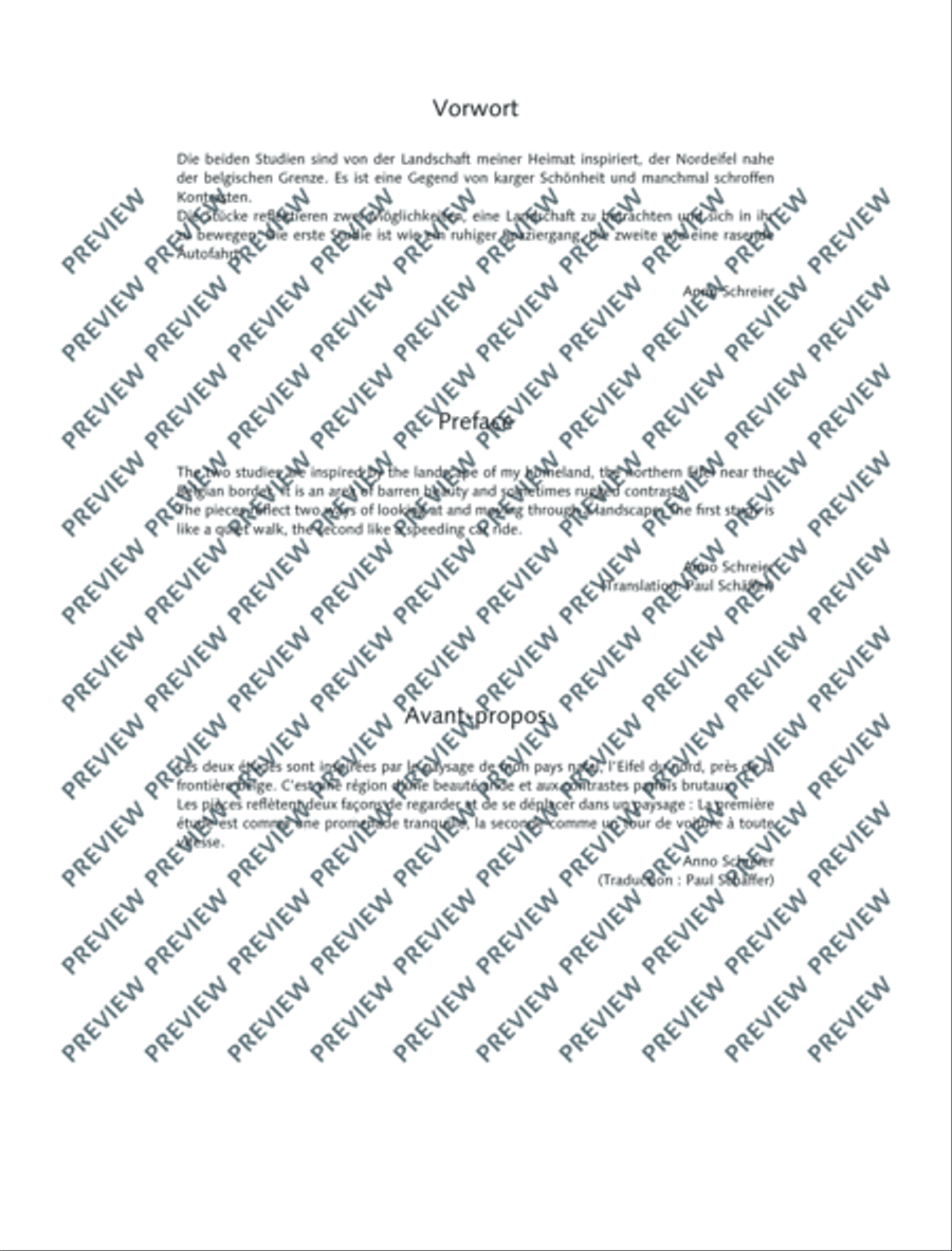 Zwei Studien zu einer Landschaft Piano Accompaniment scores gallery preview page 4
