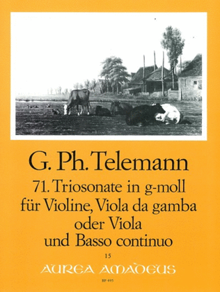 Book cover for 71. Trio sonata G minor TWV 42:g10