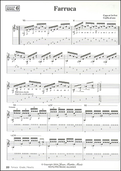 Play Solo Flamenco Guitar with Juan Martin Vol. 2-Guitarra Flamenca-21 Solos image number null