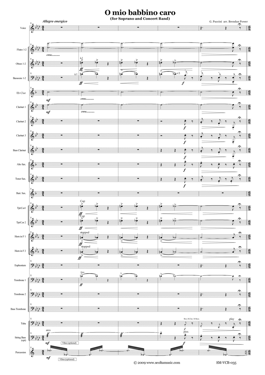 O mio babbino caro for solo voice and concert band Concert Band scores gallery preview page 1