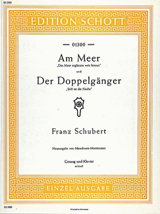 Book cover for Am Meer / Der Doppelgänger