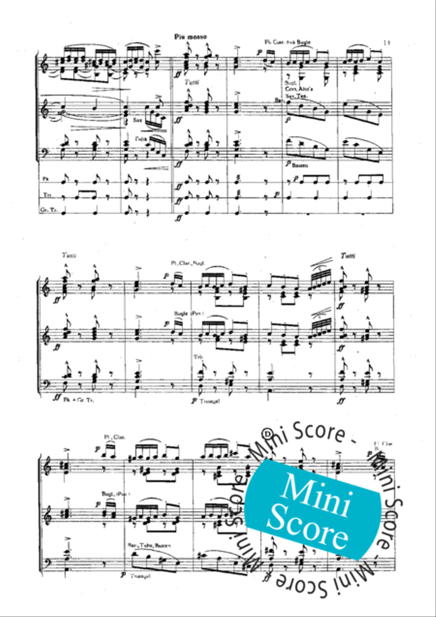 Slavische Dansen No 1,6 en 8 Concert Band scores gallery preview page 15