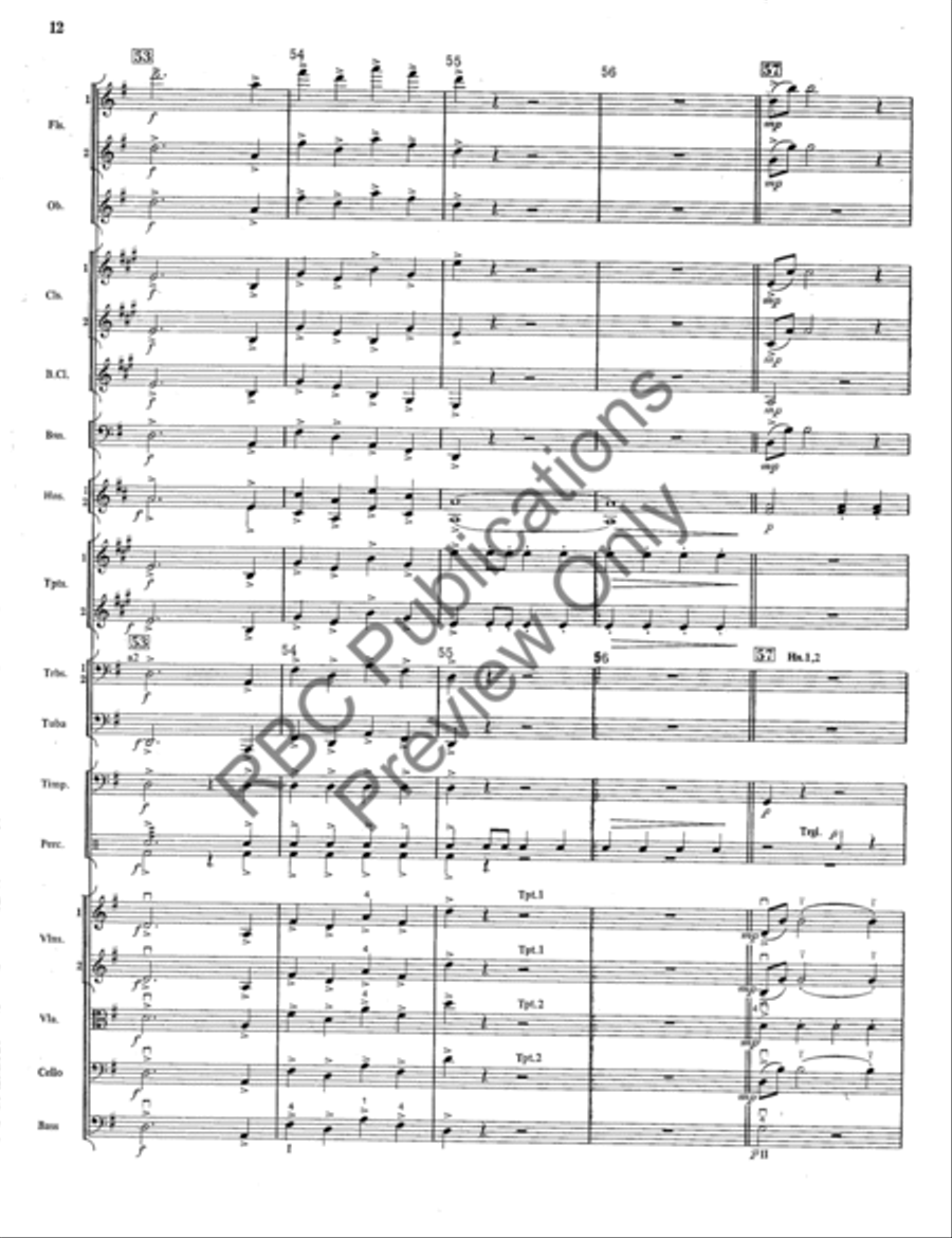 Radetzky March Full Orchestra scores gallery preview page 13