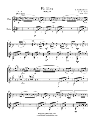 Book cover for Fur Elise (Flute and Guitar) - Score and Parts