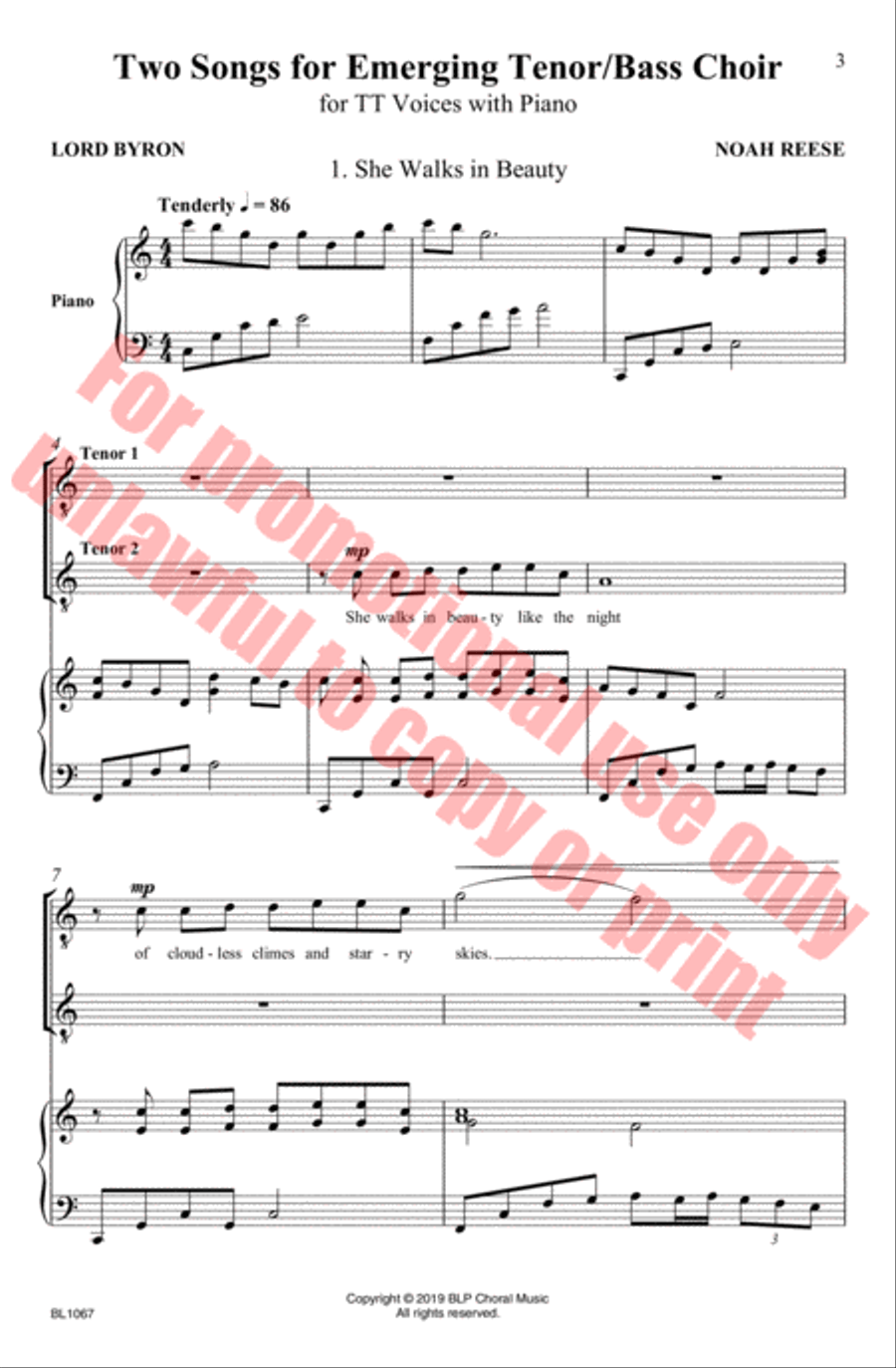 Two Songs for Emerging Tenor Bass Choir image number null