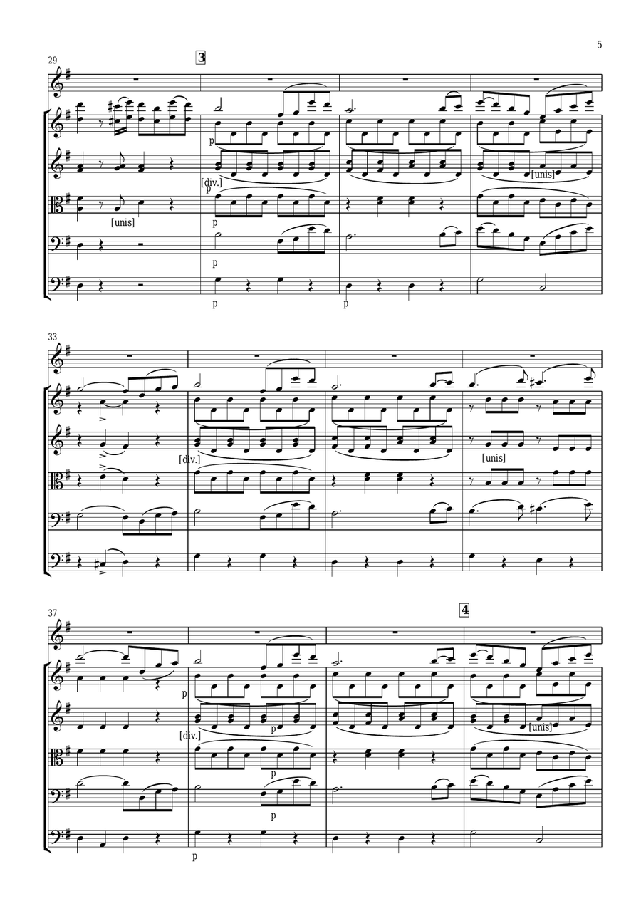 Mercadante - Concerto in Eminor for Flute and String Orchestra Chamber Orchestra scores gallery preview page 5
