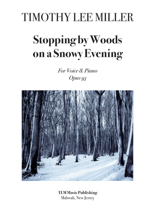 Stopping by Woods on a Snowy Evening