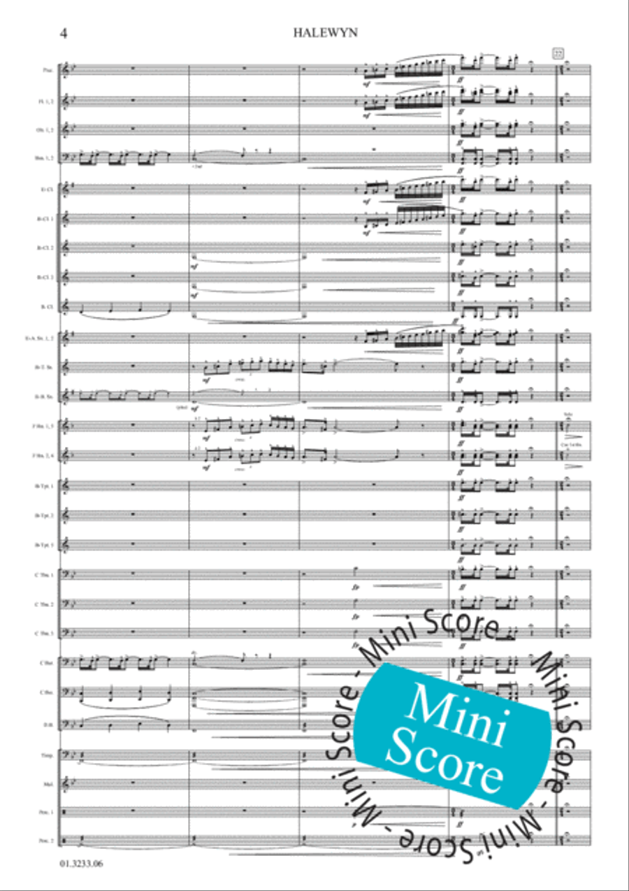 Halewijn Concert Band scores gallery preview page 10