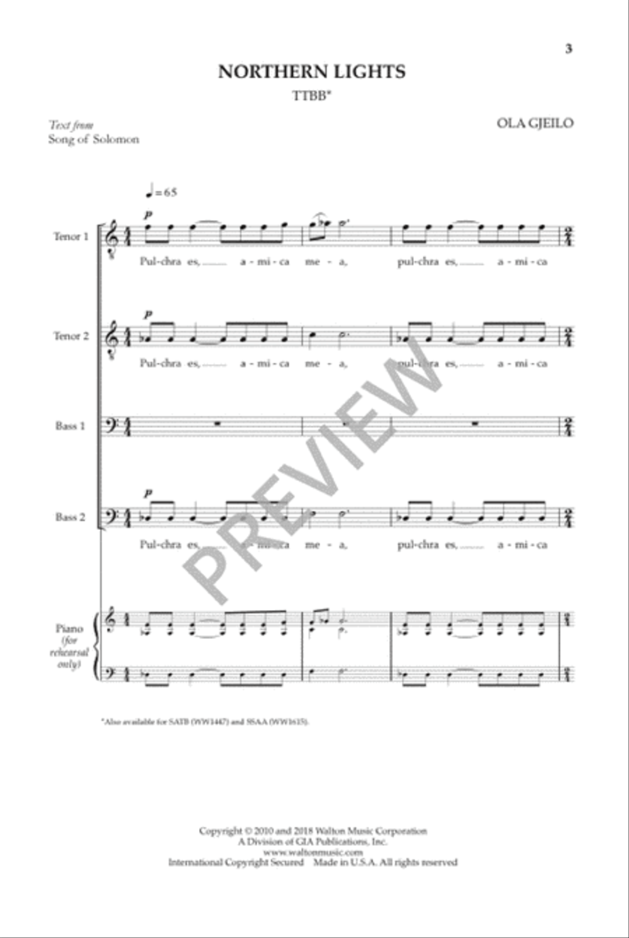 Northern Lights (TTBB) TTBB scores gallery preview page 4