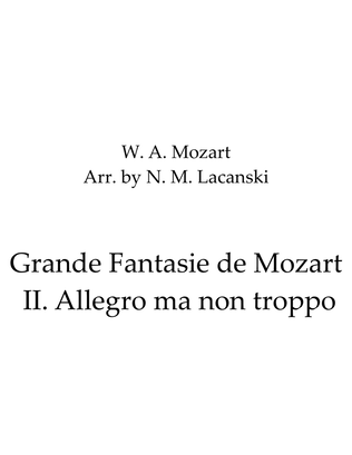 Grande Fantasie de Mozart II. Allegro ma non troppo