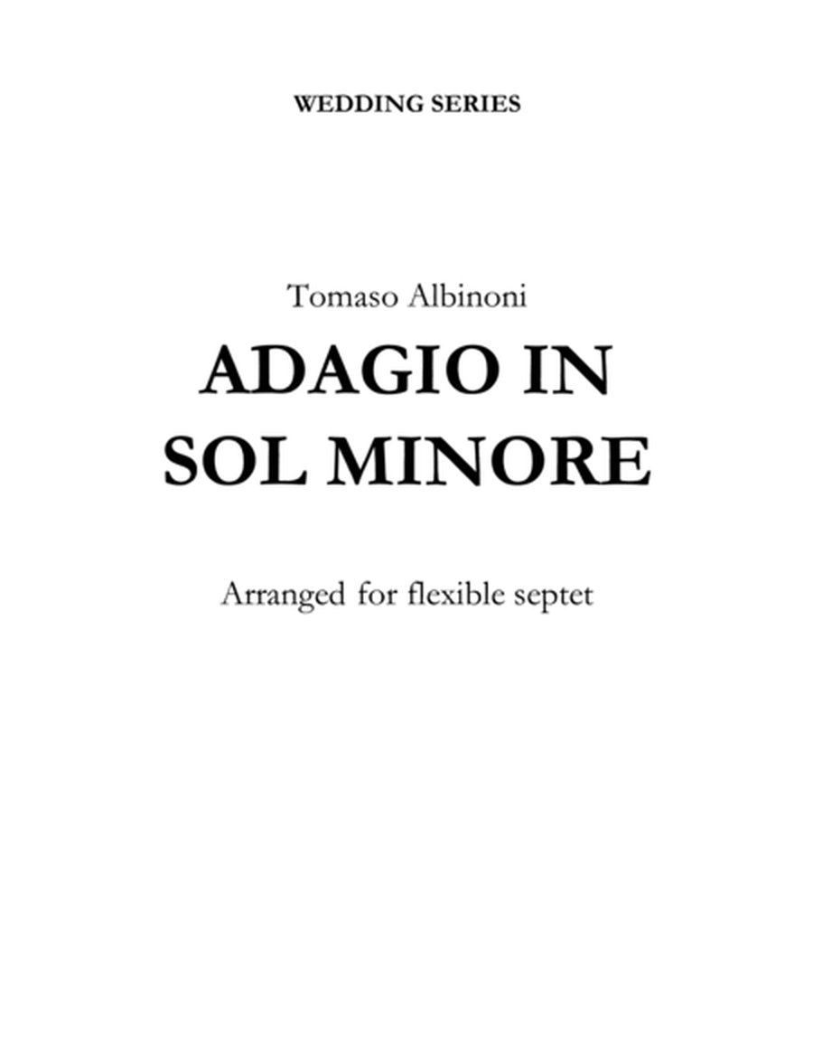 Adagio in G Minor image number null