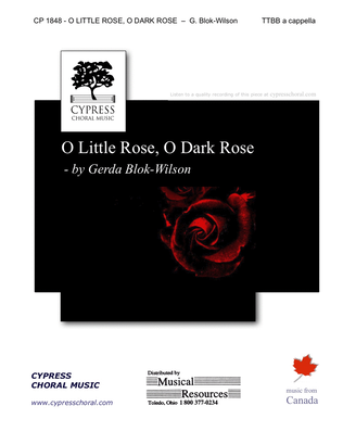 Book cover for O Little Rose, O Dark Rose