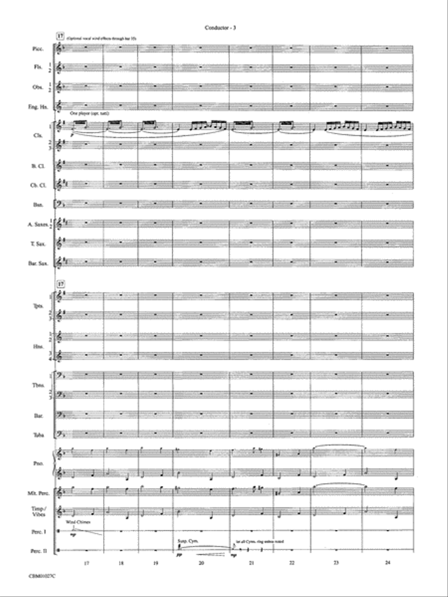 Harry Potter Symphonic Suite: Score Concert Band scores gallery preview page 5