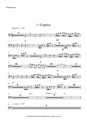 Barton Cummings: Concertino for contrabassoon and concert band, euphonium part